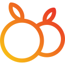 naranja icon