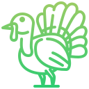 pavo