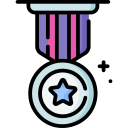 insignia icon