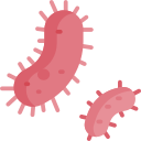 bacterias icon