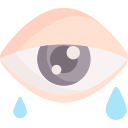 conjuntivitis icon