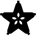 carambola icon