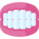 dentadura icon