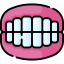 dentadura icon