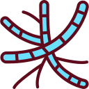 virus icon