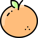 mandarina icon