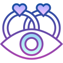 ojo icon