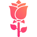 flor rosa icon