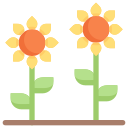 girasoles icon