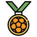 medalla icon