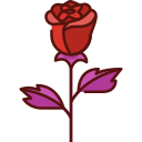 rosa icon