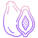 papaya icon