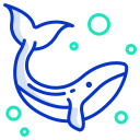 ballena icon