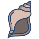 caracola icon