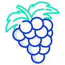 uvas icon