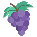 uvas icon