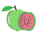 guayaba 