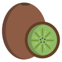 kiwi icon