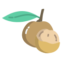 longan