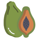 papaya icon