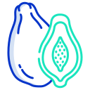 papaya icon