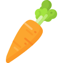 cenoura 