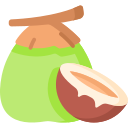 coco icon