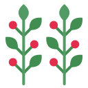 Cherry icon