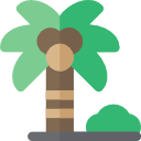 Árbol de coco icon