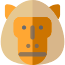 babuino icon