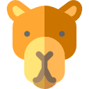 camello icon