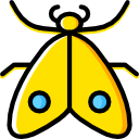 polilla icon