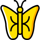 mariposa