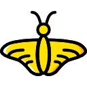 mariposa icon