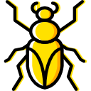 cucaracha icon