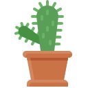 cactus icon