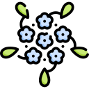 hortensia icon