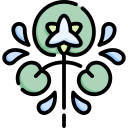 lirio de agua icon