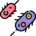 bacterias icon