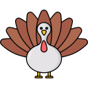 pavo icon