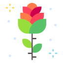 rosa icon