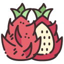 dragon de fruta icon