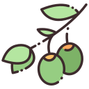 aceituna icon