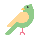 pájaro icon