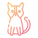 gato icon