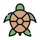 tortuga