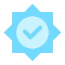 verificar icon