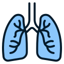 Lungs 