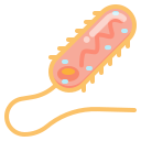 bacterias icon