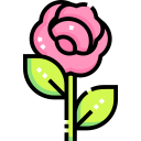 rosa icon